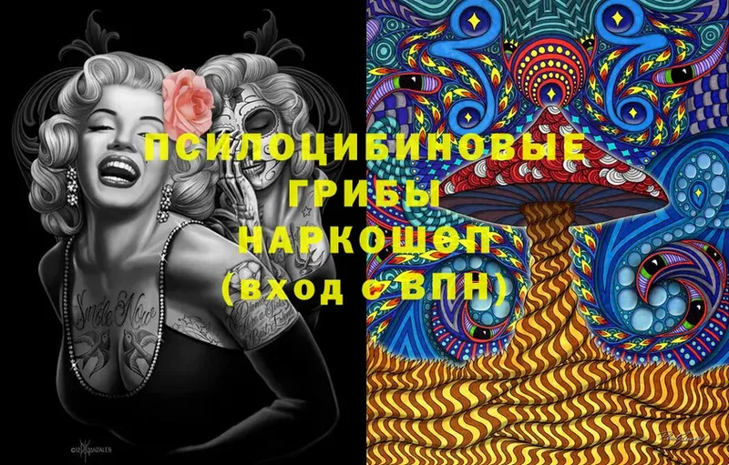 Галлюциногенные грибы MAGIC MUSHROOMS Белозерск